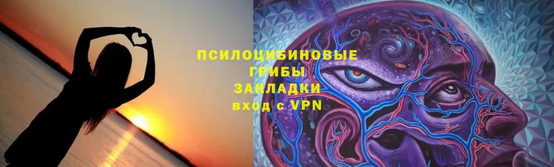 Псилоцибиновые грибы Cubensis  Вятские Поляны 